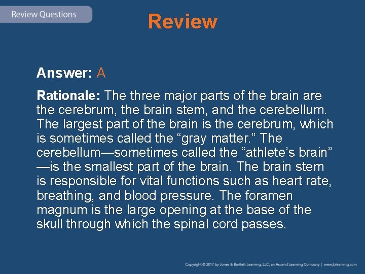 Review Answer: A Rationale: The three major parts of the brain are the cerebrum,