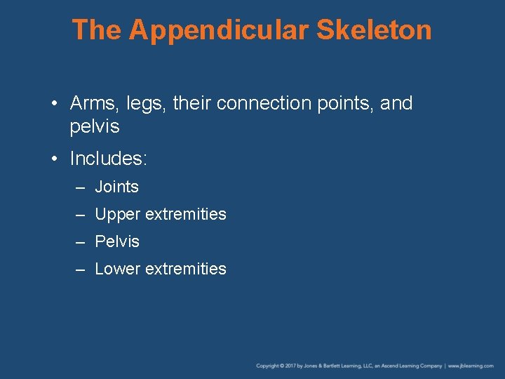 The Appendicular Skeleton • Arms, legs, their connection points, and pelvis • Includes: –