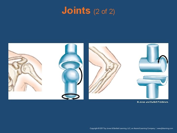Joints (2 of 2) © Jones and Bartlett Publishers. 