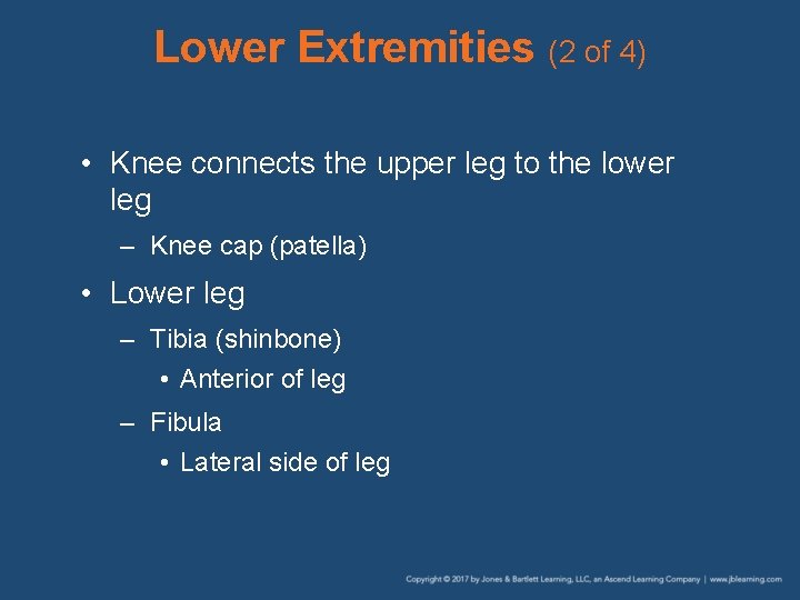 Lower Extremities (2 of 4) • Knee connects the upper leg to the lower