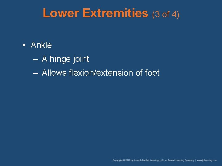 Lower Extremities (3 of 4) • Ankle – A hinge joint – Allows flexion/extension