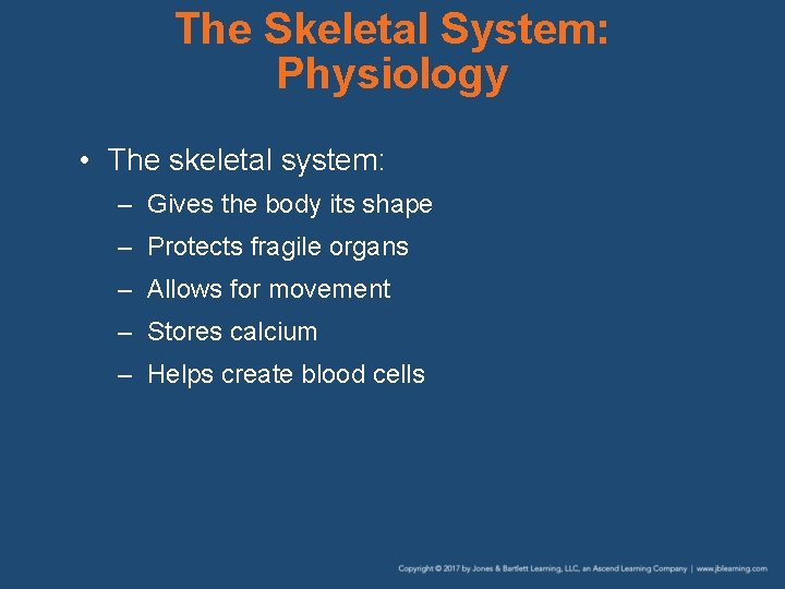 The Skeletal System: Physiology • The skeletal system: – Gives the body its shape
