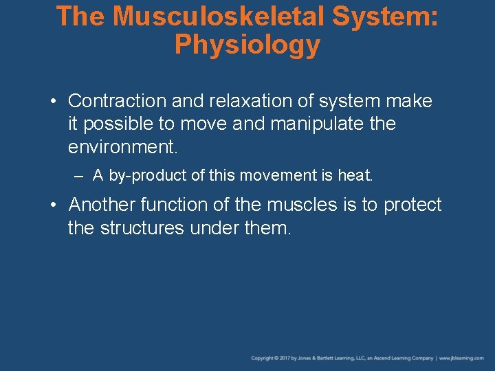 The Musculoskeletal System: Physiology • Contraction and relaxation of system make it possible to