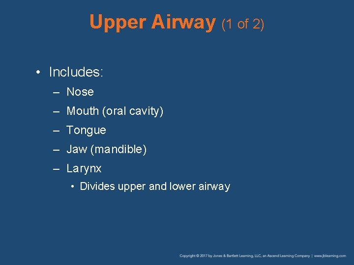Upper Airway (1 of 2) • Includes: – Nose – Mouth (oral cavity) –