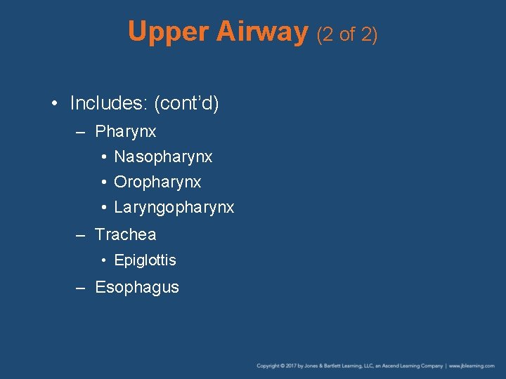 Upper Airway (2 of 2) • Includes: (cont’d) – Pharynx • Nasopharynx • Oropharynx