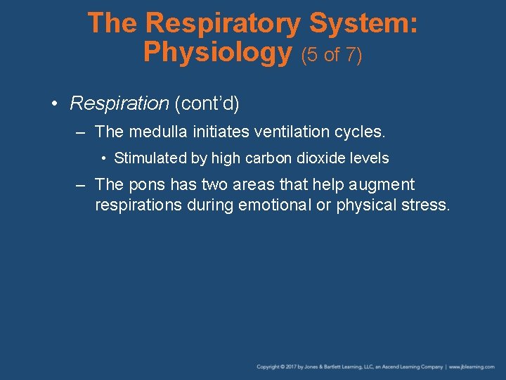 The Respiratory System: Physiology (5 of 7) • Respiration (cont’d) – The medulla initiates