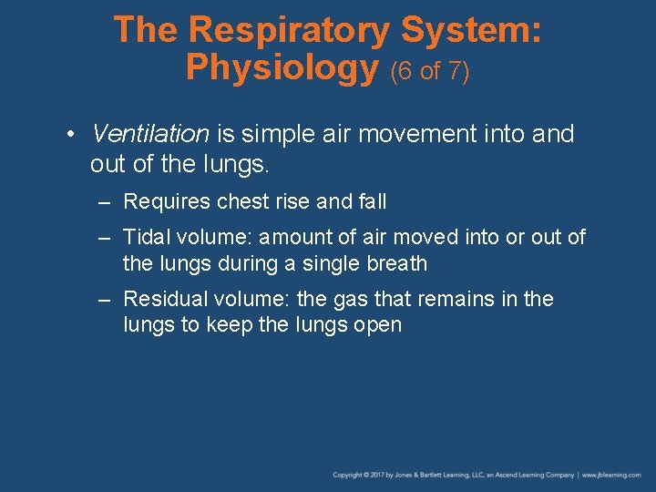 The Respiratory System: Physiology (6 of 7) • Ventilation is simple air movement into