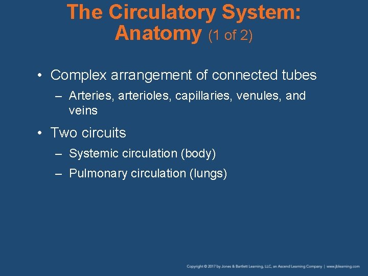 The Circulatory System: Anatomy (1 of 2) • Complex arrangement of connected tubes –