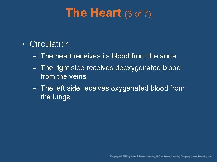 The Heart (3 of 7) • Circulation – The heart receives its blood from