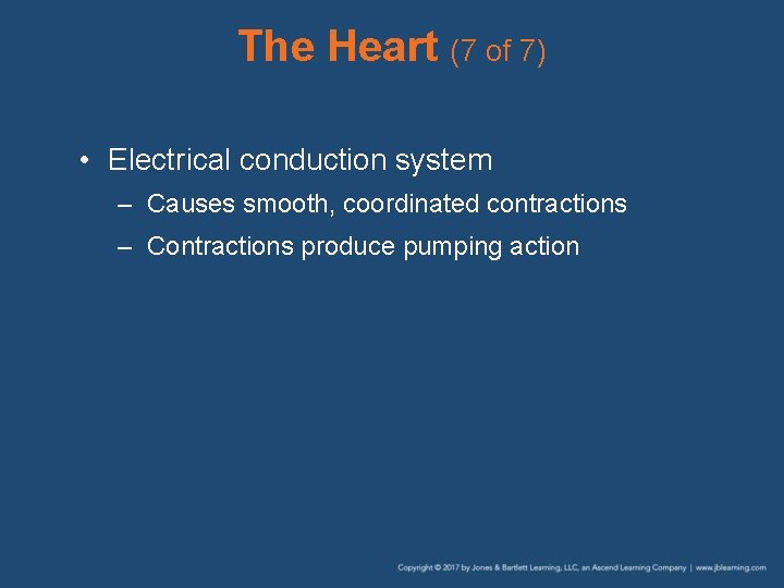The Heart (7 of 7) • Electrical conduction system – Causes smooth, coordinated contractions