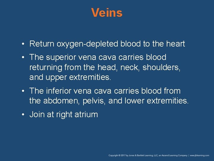 Veins • Return oxygen-depleted blood to the heart • The superior vena cava carries
