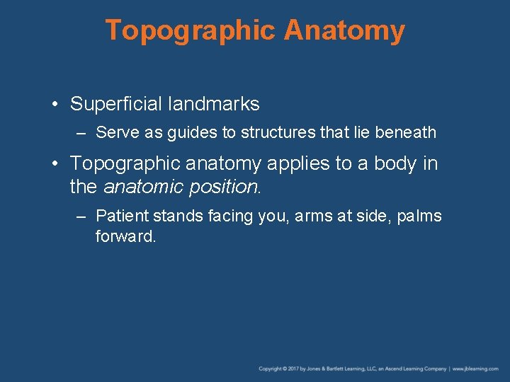 Topographic Anatomy • Superficial landmarks – Serve as guides to structures that lie beneath