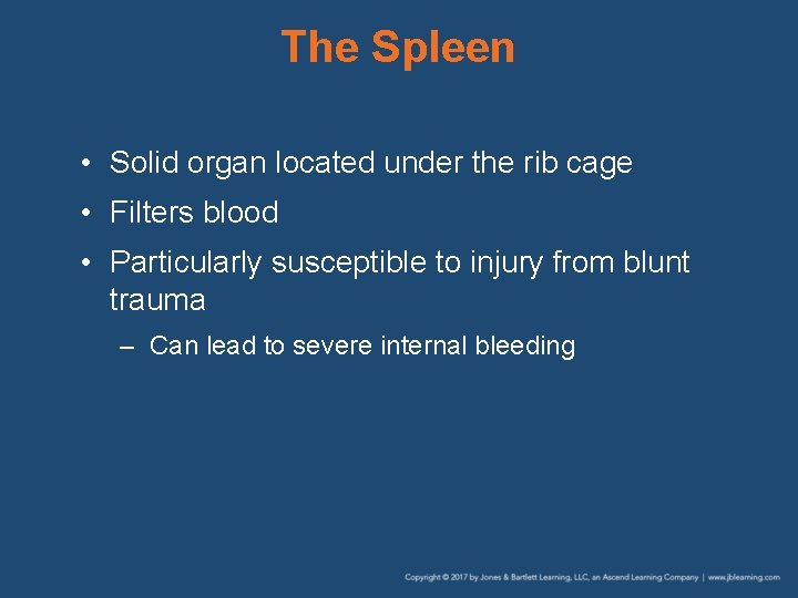 The Spleen • Solid organ located under the rib cage • Filters blood •