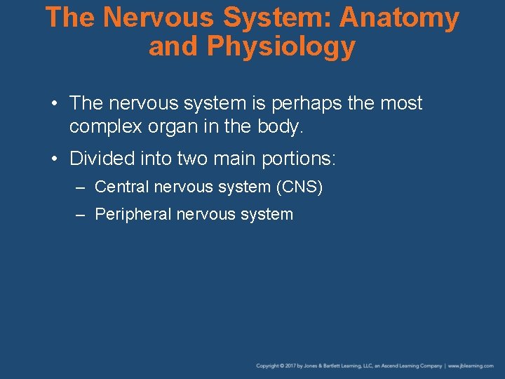 The Nervous System: Anatomy and Physiology • The nervous system is perhaps the most
