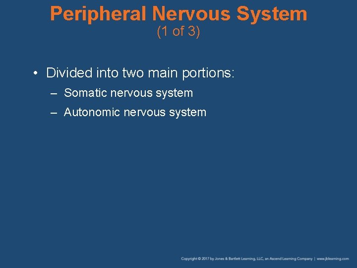 Peripheral Nervous System (1 of 3) • Divided into two main portions: – Somatic