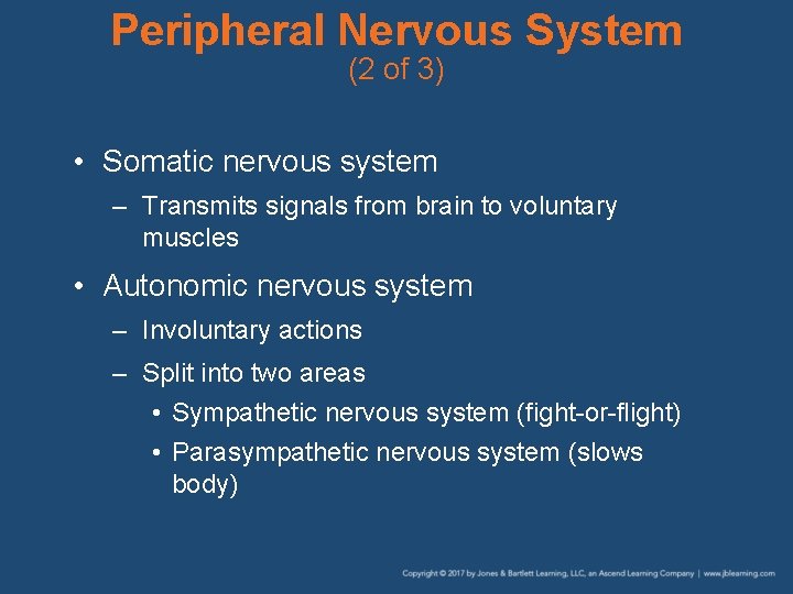 Peripheral Nervous System (2 of 3) • Somatic nervous system – Transmits signals from