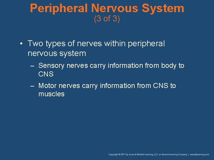 Peripheral Nervous System (3 of 3) • Two types of nerves within peripheral nervous