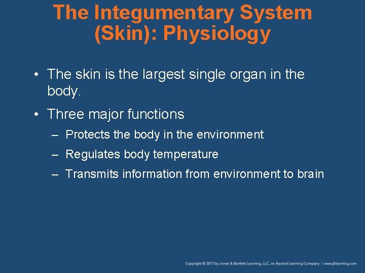 The Integumentary System (Skin): Physiology • The skin is the largest single organ in