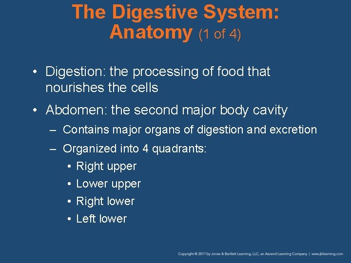 The Digestive System: Anatomy (1 of 4) • Digestion: the processing of food that