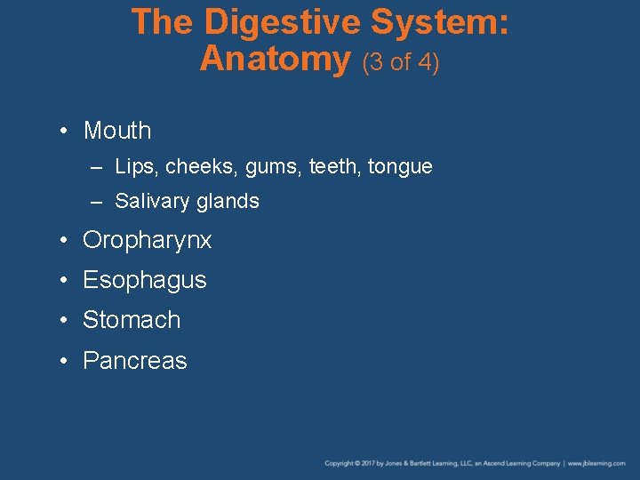 The Digestive System: Anatomy (3 of 4) • Mouth – Lips, cheeks, gums, teeth,