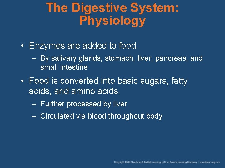 The Digestive System: Physiology • Enzymes are added to food. – By salivary glands,