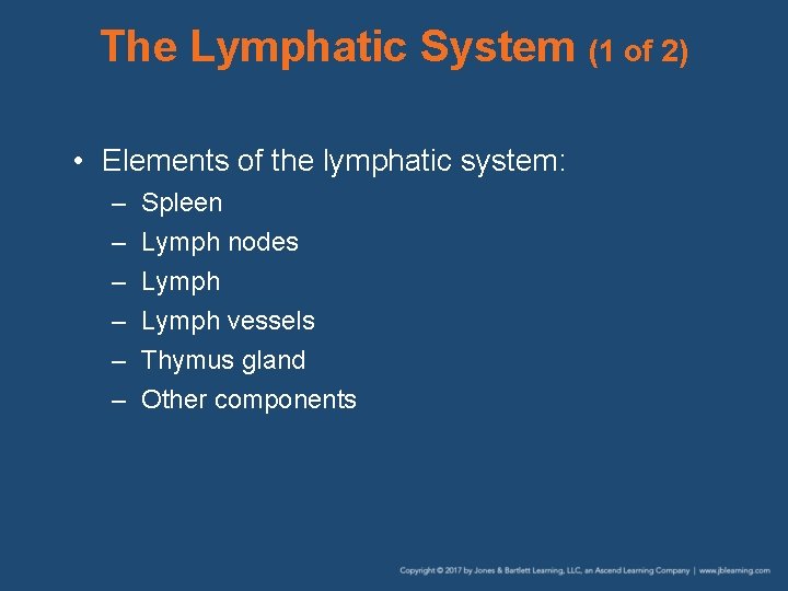 The Lymphatic System (1 of 2) • Elements of the lymphatic system: – –