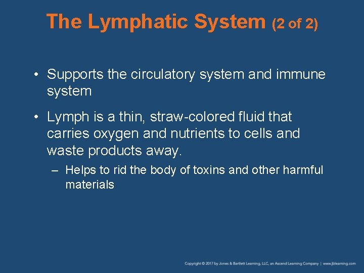 The Lymphatic System (2 of 2) • Supports the circulatory system and immune system