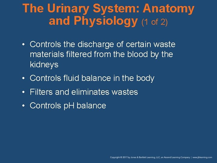 The Urinary System: Anatomy and Physiology (1 of 2) • Controls the discharge of