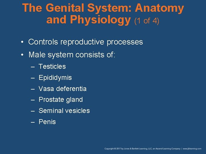 The Genital System: Anatomy and Physiology (1 of 4) • Controls reproductive processes •