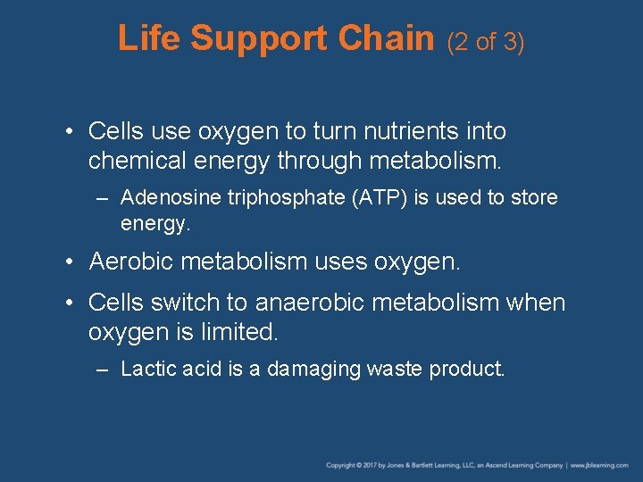 Life Support Chain (2 of 3) • Cells use oxygen to turn nutrients into