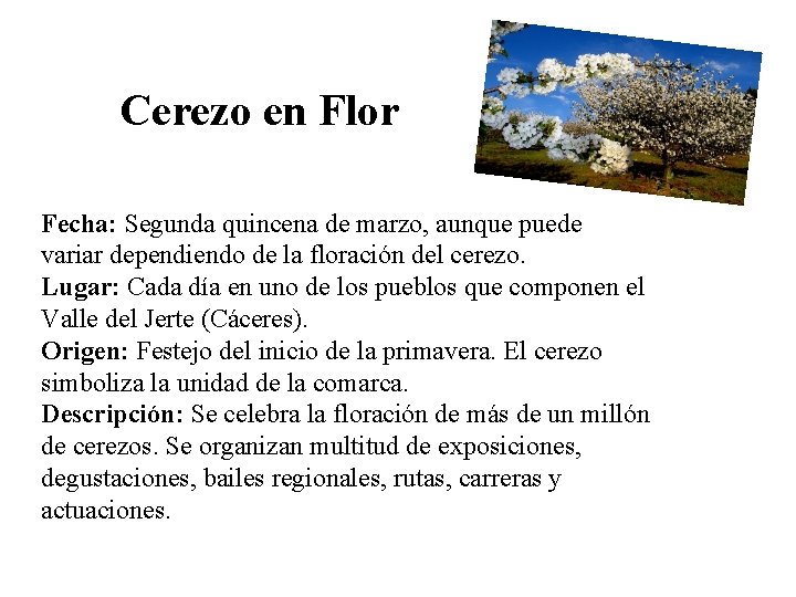 Cerezo en Flor Fecha: Segunda quincena de marzo, aunque puede variar dependiendo de la