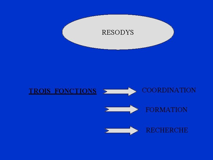 RESODYS TROIS FONCTIONS COORDINATION FORMATION RECHERCHE 