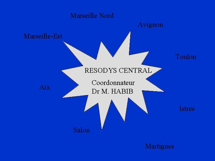 Marseille Nord Avignon Marseille-Est Toulon RESODYS CENTRAL Coordonnateur Dr M. HABIB Aix Istres Salon