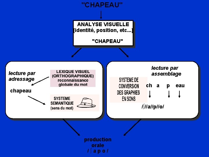"CHAPEAU" ANALYSE VISUELLE (identité, position, etc. . . ) "CHAPEAU" lecture par assemblage lecture