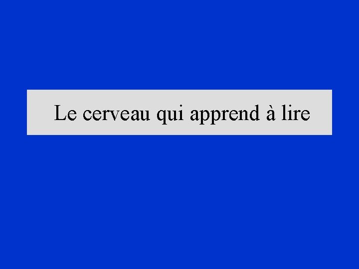 Le cerveau qui apprend à lire 