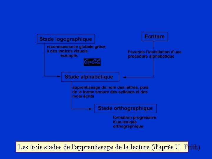 Les trois stades de l'apprentissage de la lecture (d'après U. Frith) 