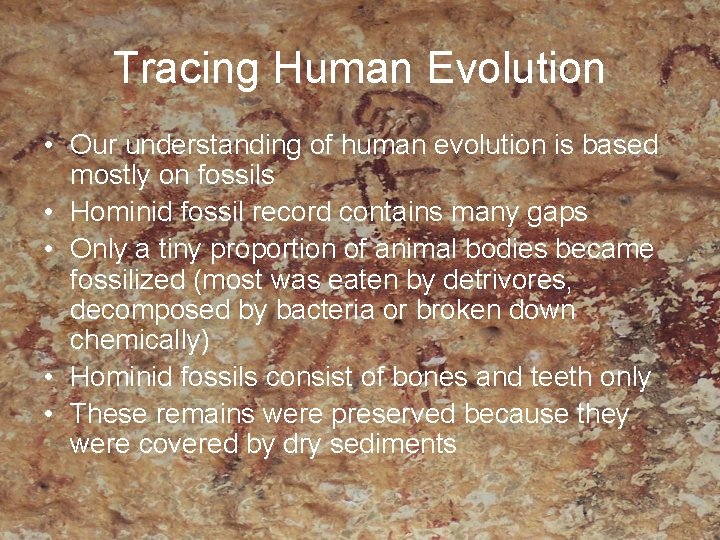 Human Evolution Tibor Cemicky Tracing Human Evolution Our