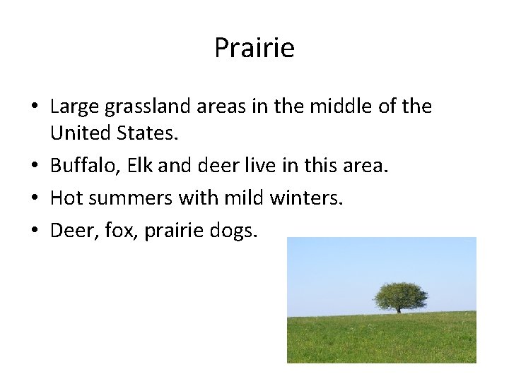 Prairie • Large grassland areas in the middle of the United States. • Buffalo,