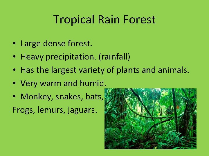 Tropical Rain Forest • Large dense forest. • Heavy precipitation. (rainfall) • Has the