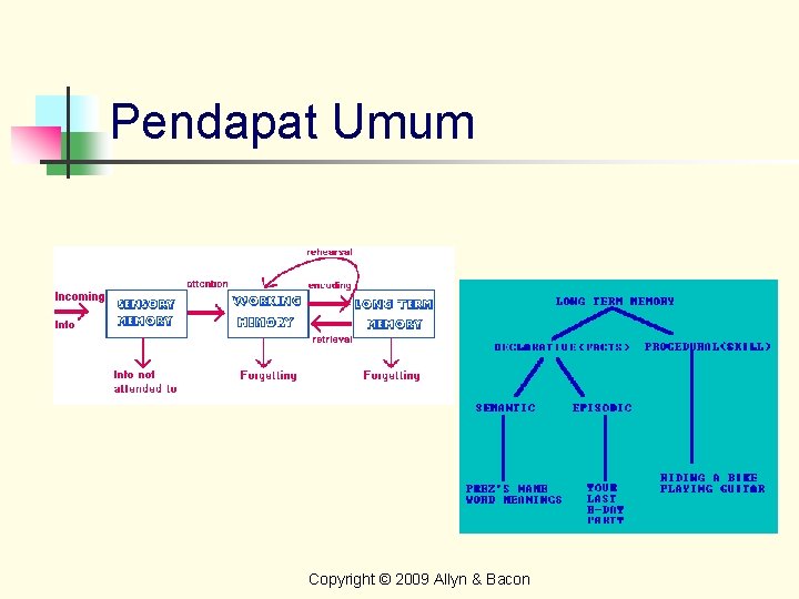Pendapat Umum Copyright © 2009 Allyn & Bacon 