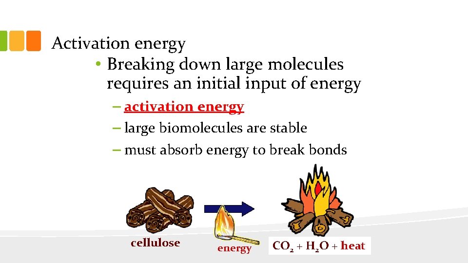 Activation energy • Breaking down large molecules requires an initial input of energy –