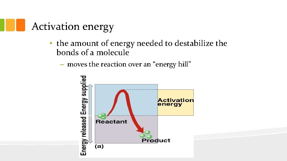 Activation energy • the amount of energy needed to destabilize the bonds of a