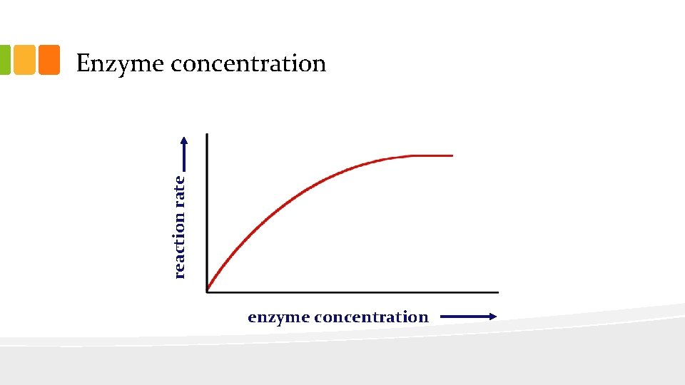 reaction rate Enzyme concentration enzyme concentration 