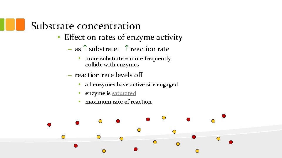 Substrate concentration • Effect on rates of enzyme activity – as substrate = reaction