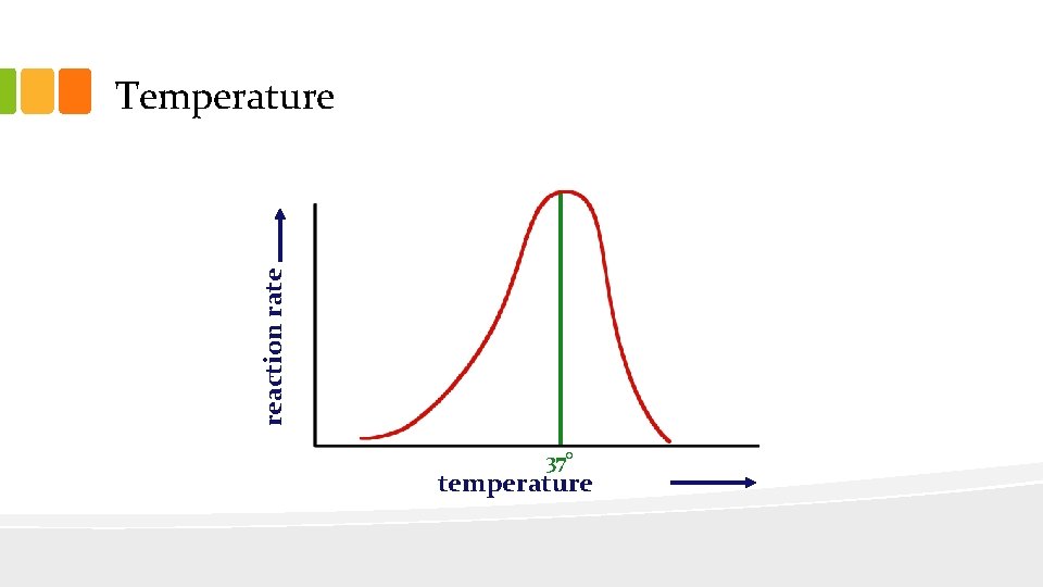 reaction rate Temperature 37° temperature 