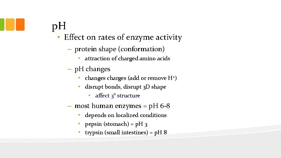 p. H • Effect on rates of enzyme activity – protein shape (conformation) •