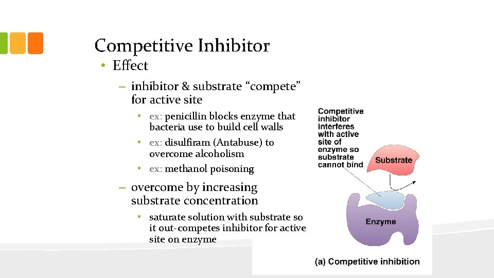 Competitive Inhibitor • Effect – inhibitor & substrate “compete” for active site • ex: