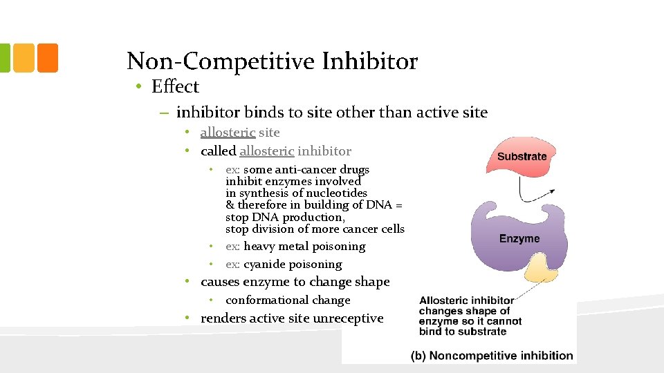 Non-Competitive Inhibitor • Effect – inhibitor binds to site other than active site •