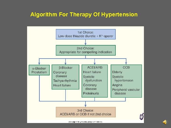 Algorithm For Therapy Of Hypertension 