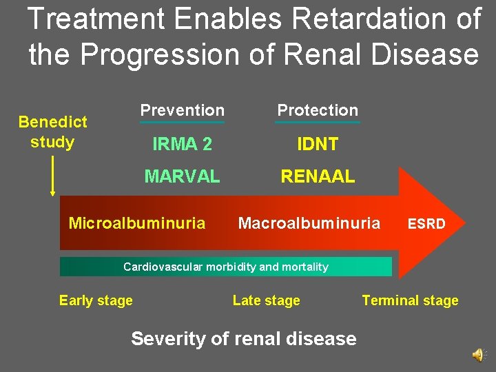 Treatment Enables Retardation of the Progression of Renal Disease Benedict study Prevention Protection IRMA